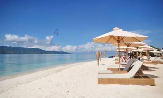 海之号角神秘海怪