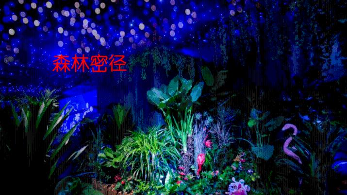 逃离沙丘